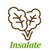 insalate2_ico