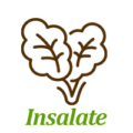 insalate2_ico